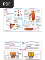 Cockroach Body Segmentation Overview | PDF