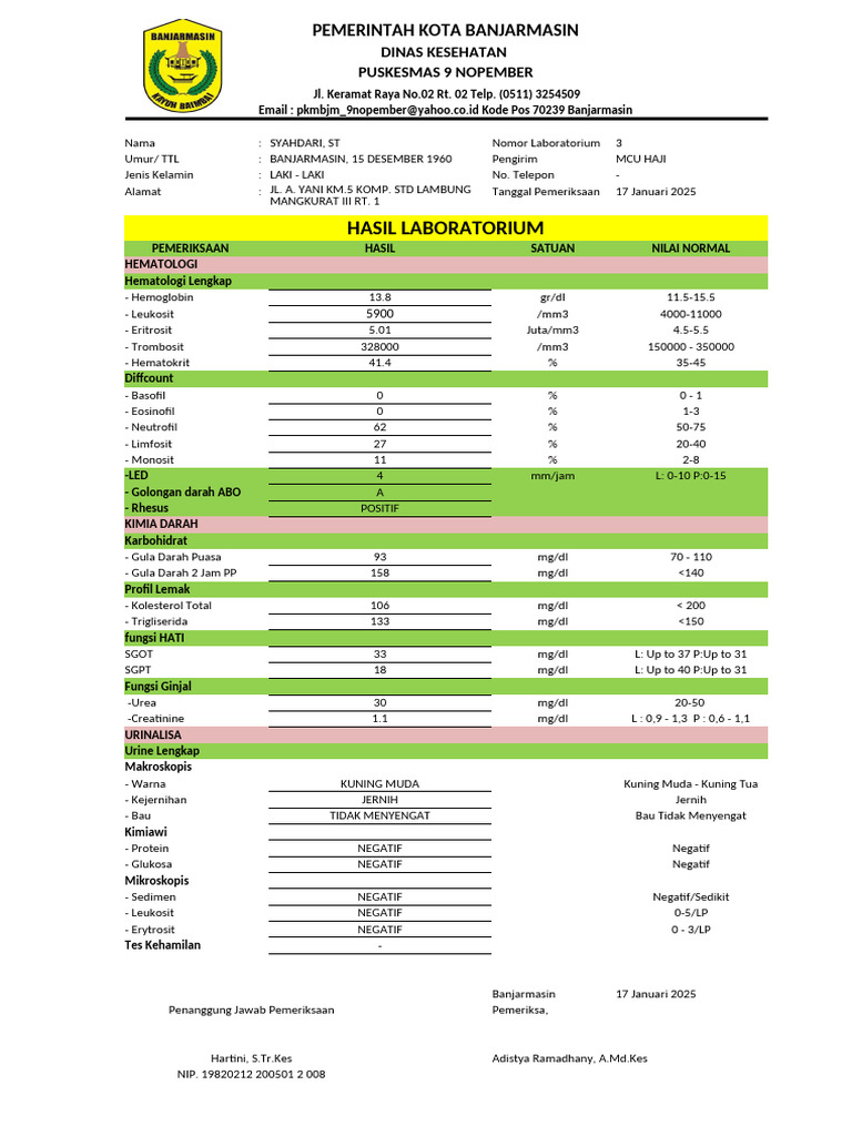 170125 Hasil Pemeriksaan Lab | PDF