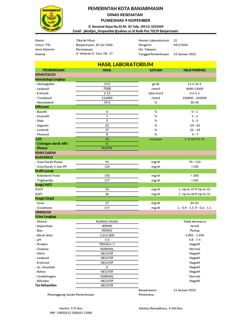 Hasil Pemeriksaan Lab | PDF