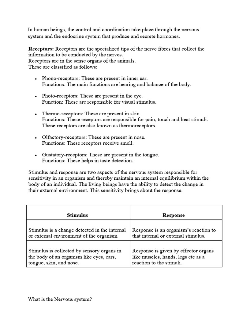 Overview of Human Nervous System Functions | PDF | Neuron | Stimulus ...