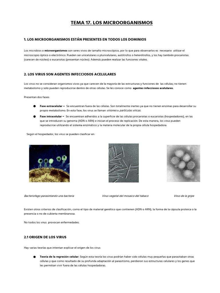 Microorganismos y Virus: Estructura y Ciclos | PDF | Virus | Las bacterias