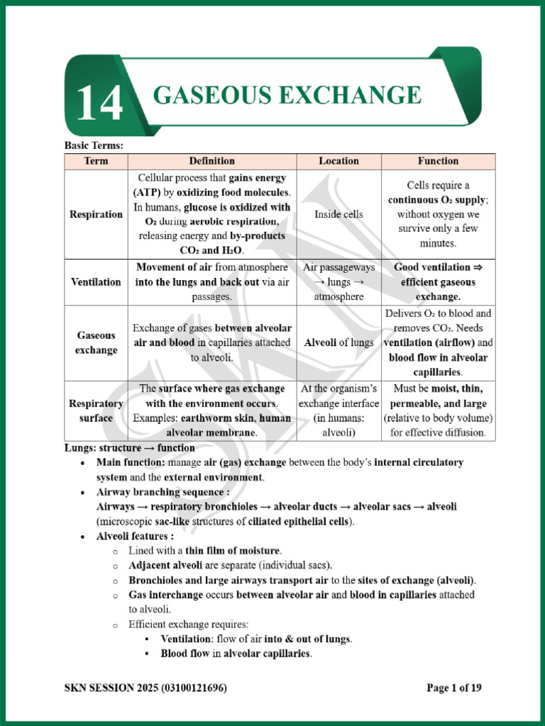 Gaseous Exchange Smart Notes 2025 | PDF