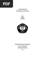 Download Lapporan Praktikum Kerapu Ojiq2 by ojiq90 SN96231924 doc pdf