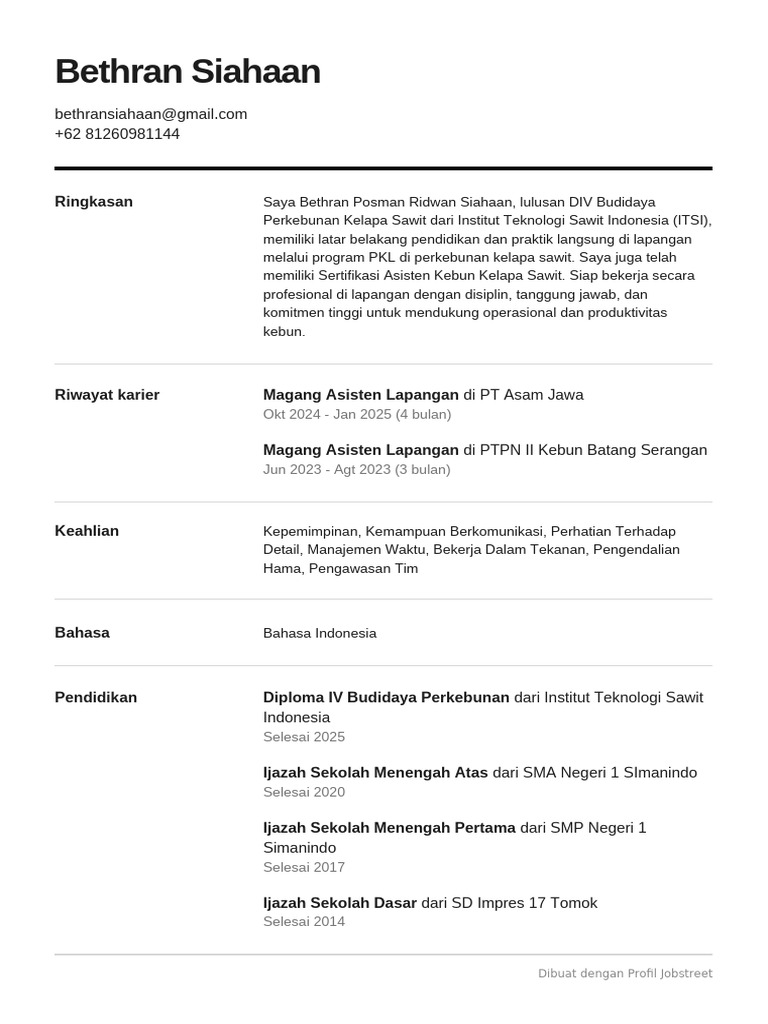 BSIAHAAN Resume Jobstreet | PDF