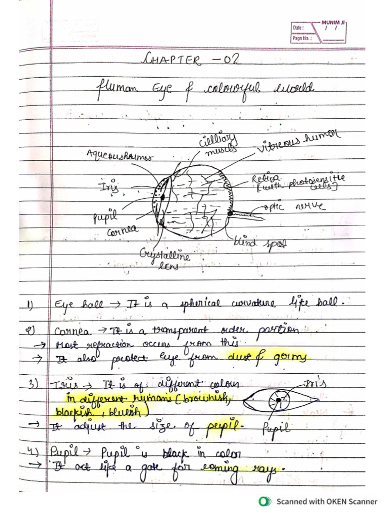 Physics Ch-2 (Human Eye) Notes | PDF