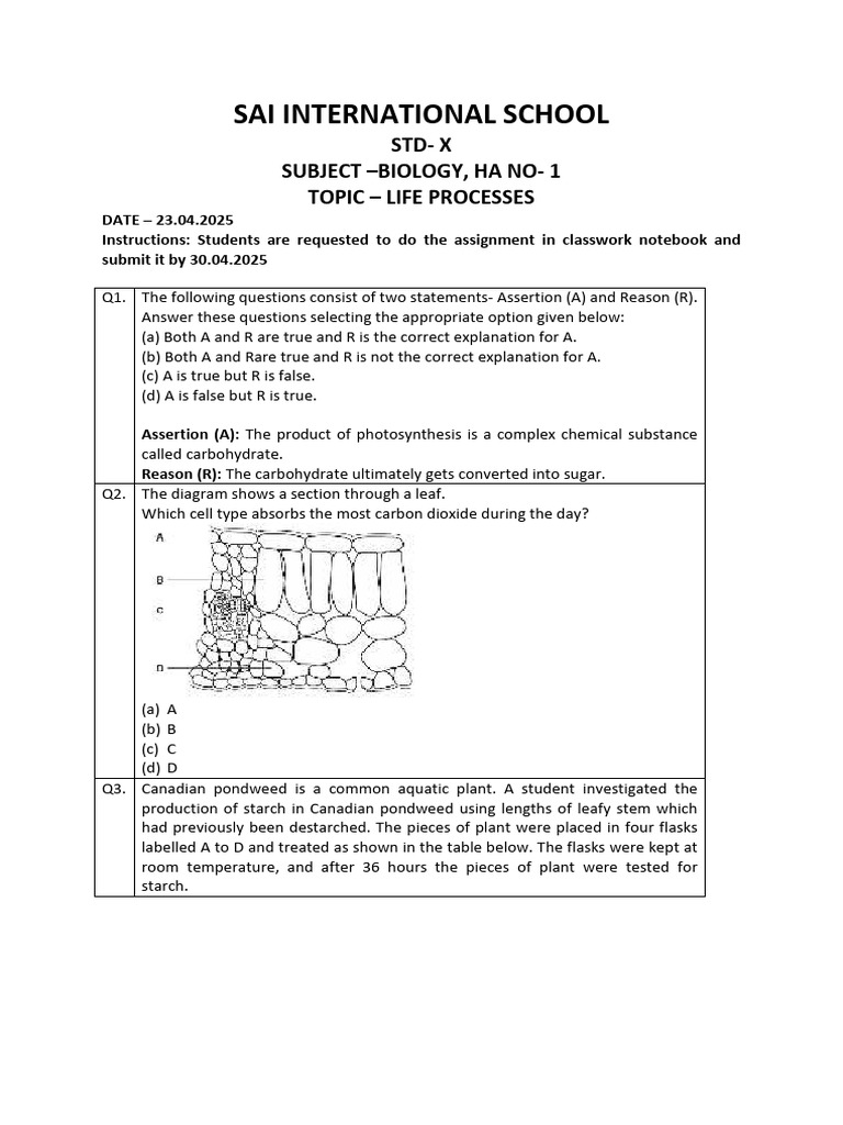 Life Processes in Biology Assignment | PDF