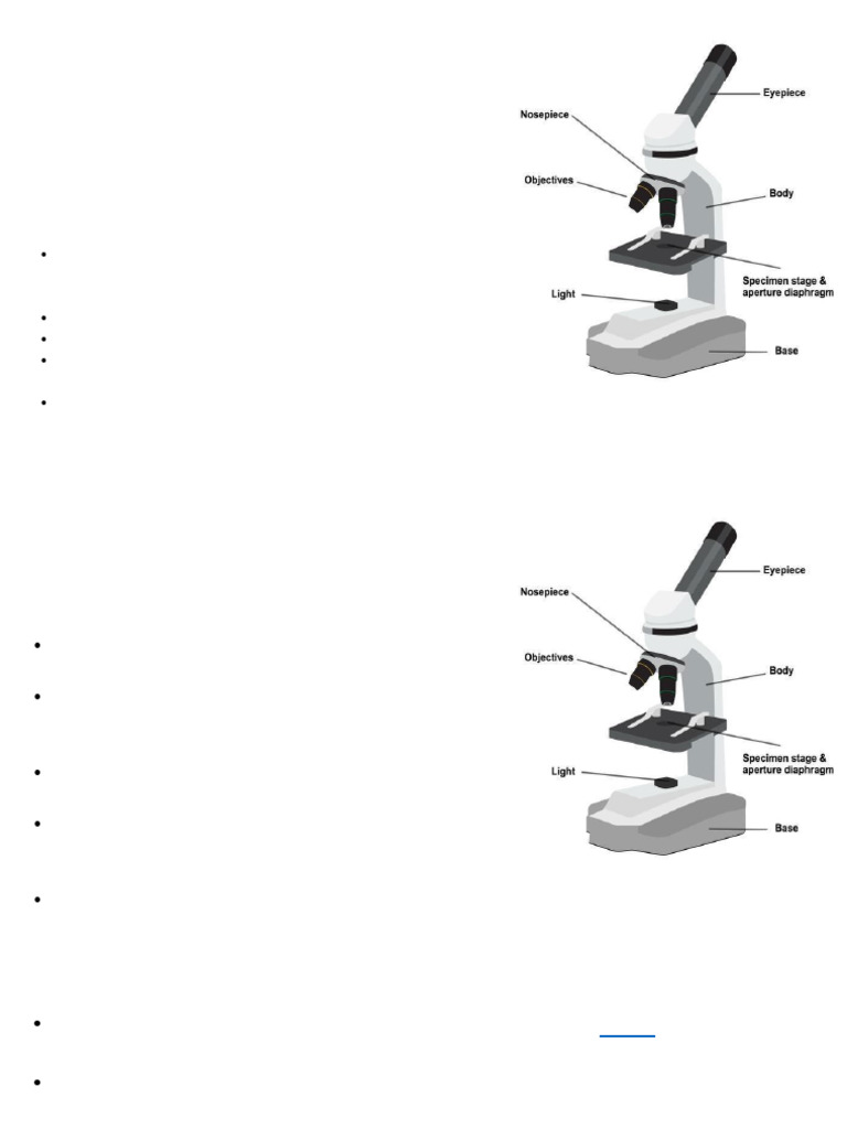 Simple and Compound Microscope Parts | PDF | Laboratory Equipment | Lenses