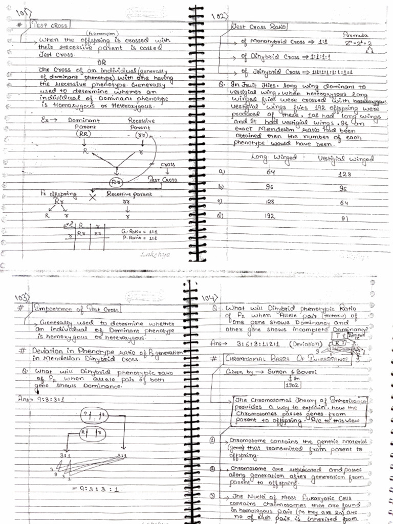 Genetics Notes Part-2 | PDF