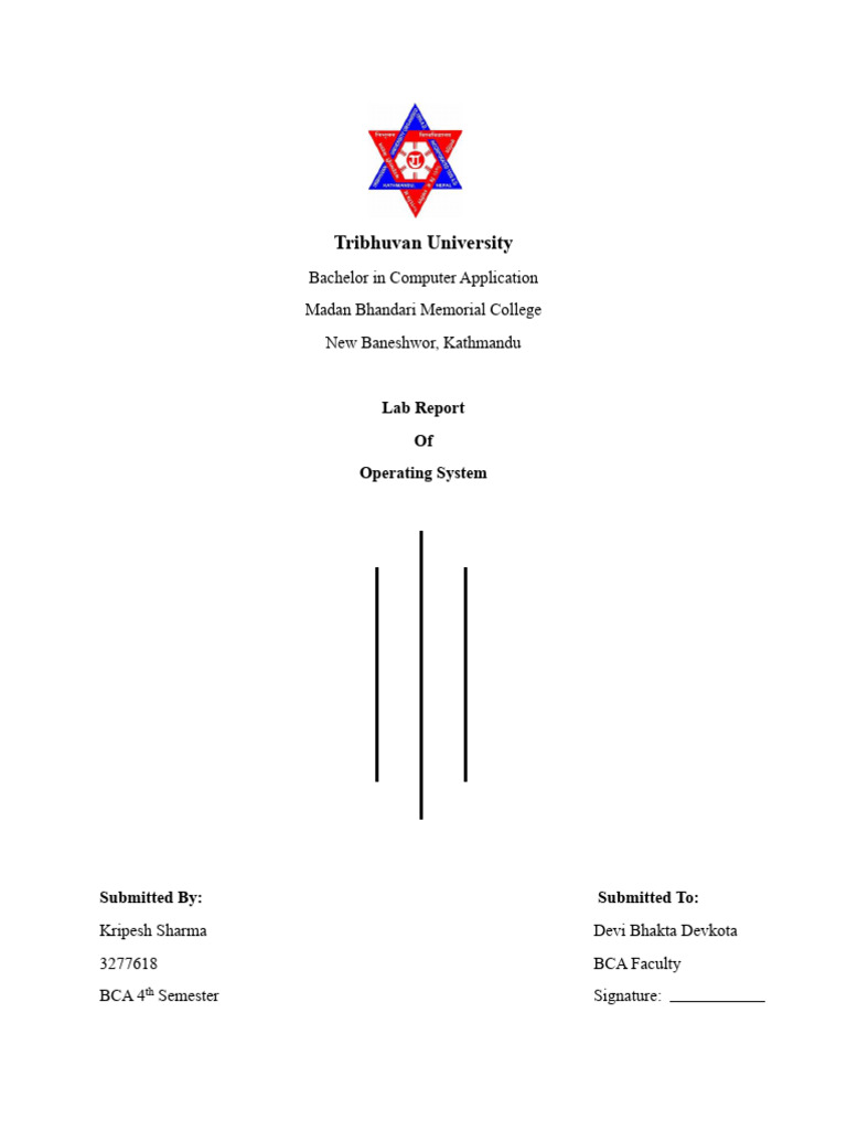 Operating System Lab Report - BCA 4th Sem | PDF