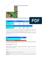 Determinación de Pérdidas Durante La Cosecha de Maíz