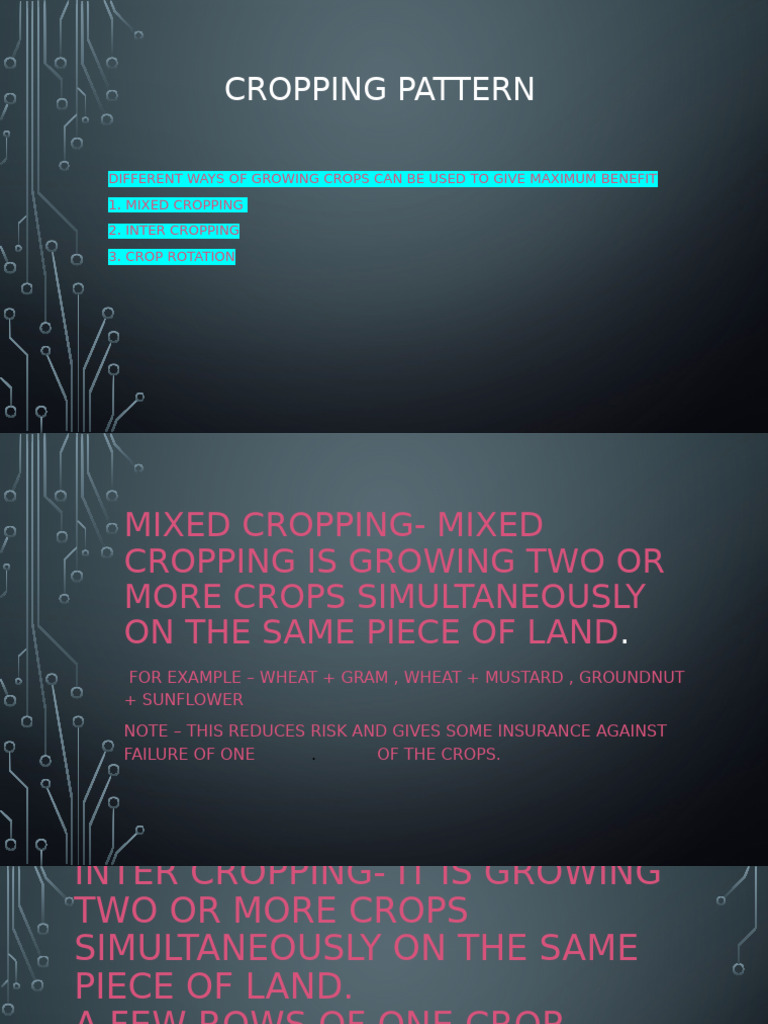 CROPPING PATTERN BY MIKE | PDF
