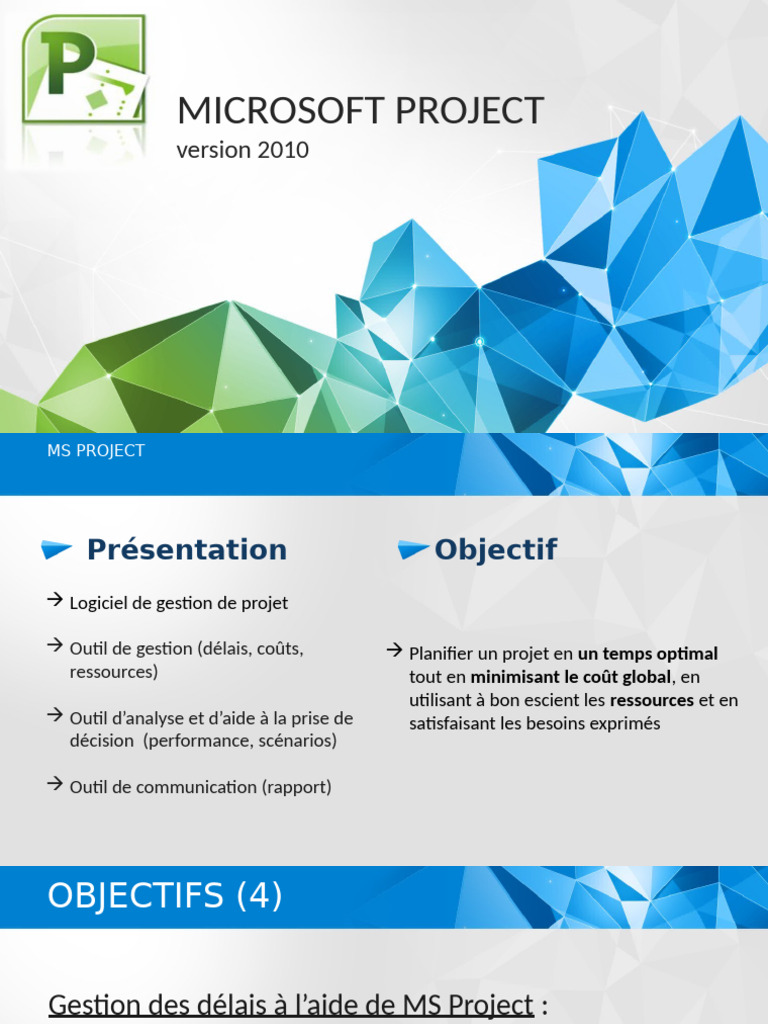 Guide complet de Microsoft Project 2010 | PDF