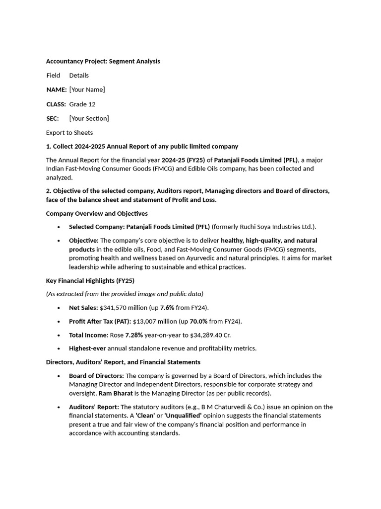 Segment Analysis of Patanjali Foods FY25 | PDF | Return On Investment ...