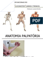 ANATOMIA Palp. Cotovelo