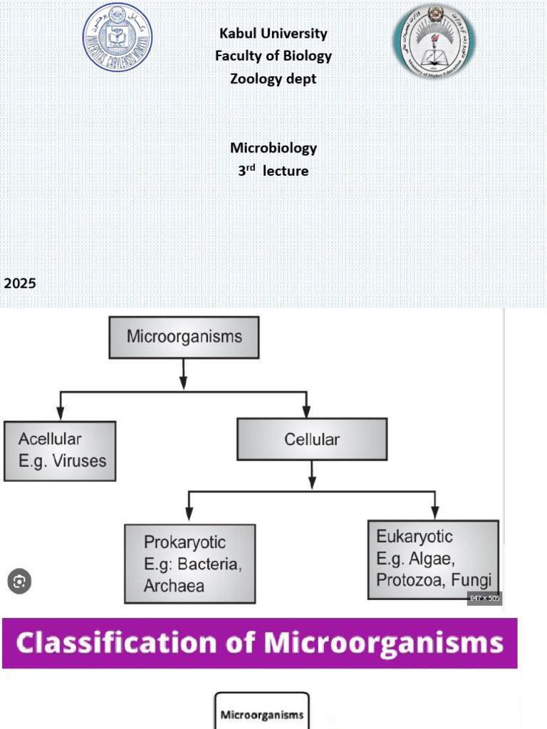 Micro 3rd Lecture | PDF
