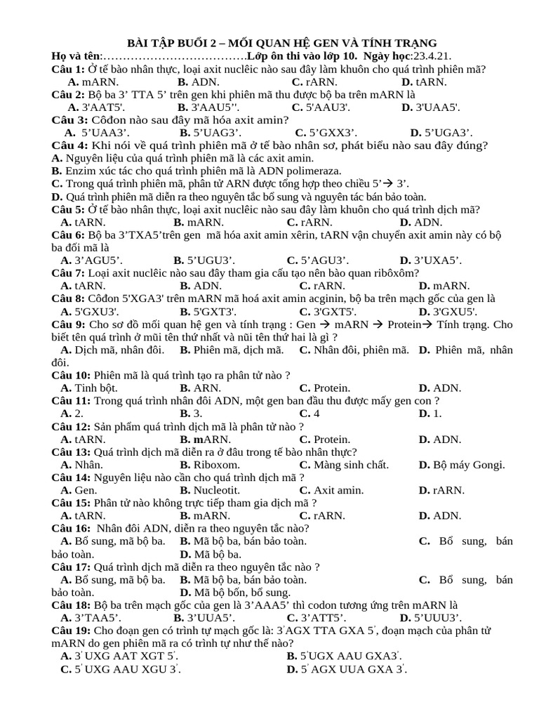 BT BUOI 2 - Gen Vã TT | PDF