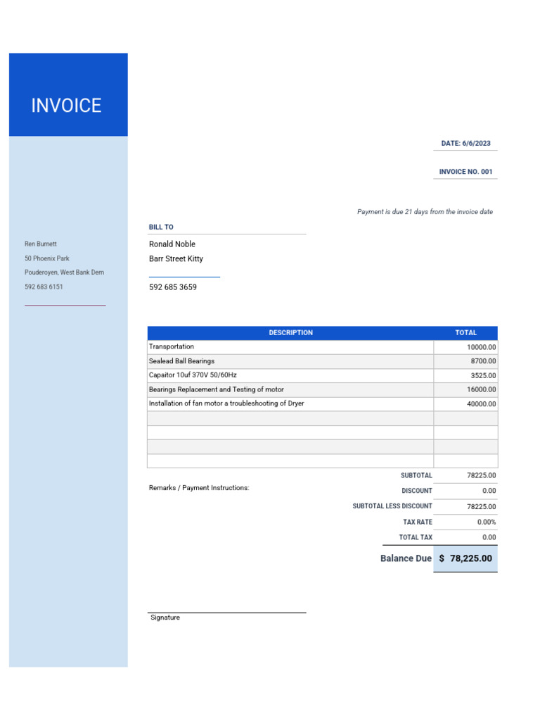 Invoice for Services Rendered - 6/6/2023 | PDF
