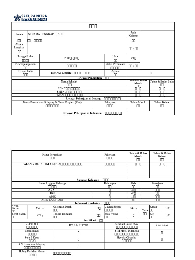 cv 2 | PDF