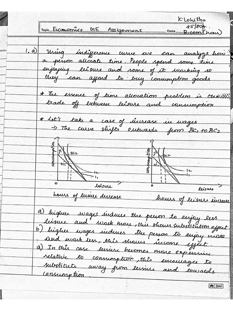 Eco Assignment | PDF
