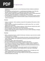 SER vs RER: Functions and Differences | PDF | Endoplasmic Reticulum ...