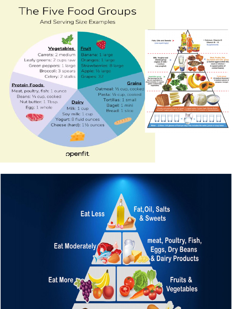 Balanced Diet Essentials for Health | PDF | Foods | Whole Grain
