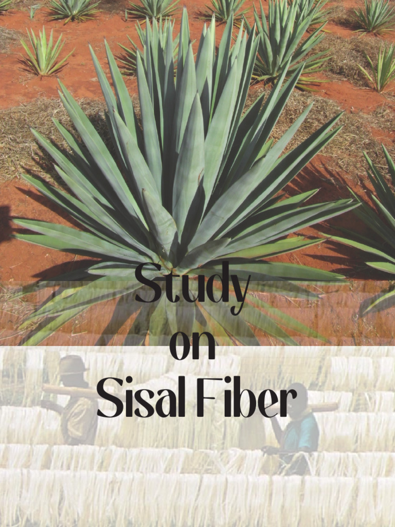 Comprehensive Study of Sisal Fiber | PDF | Composite Material | Cellulose