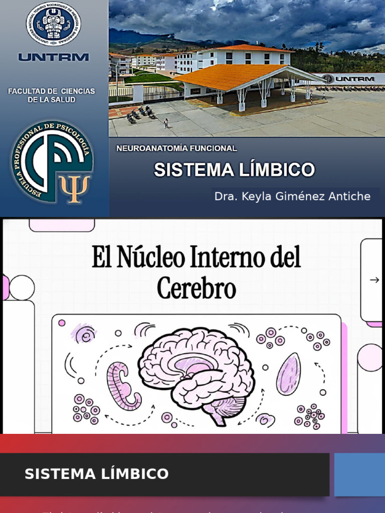 Funciones y Estructuras del Sistema Límbico | PDF | Las emociones ...