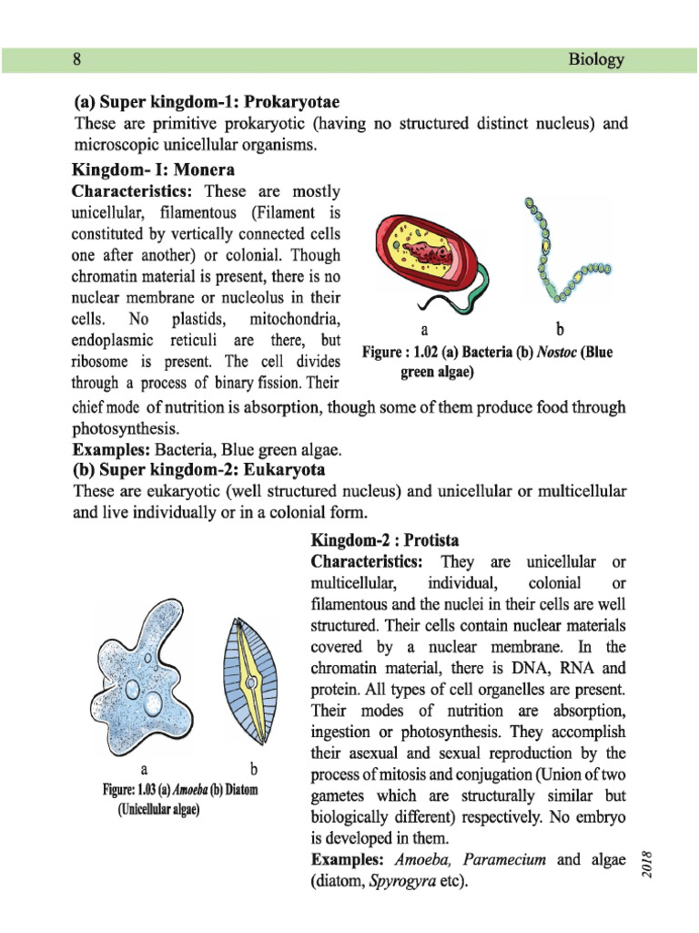 biology notes | PDF