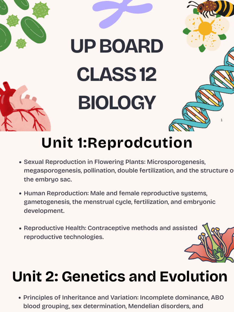 Class 12 Biology: Key Concepts Overview | PDF