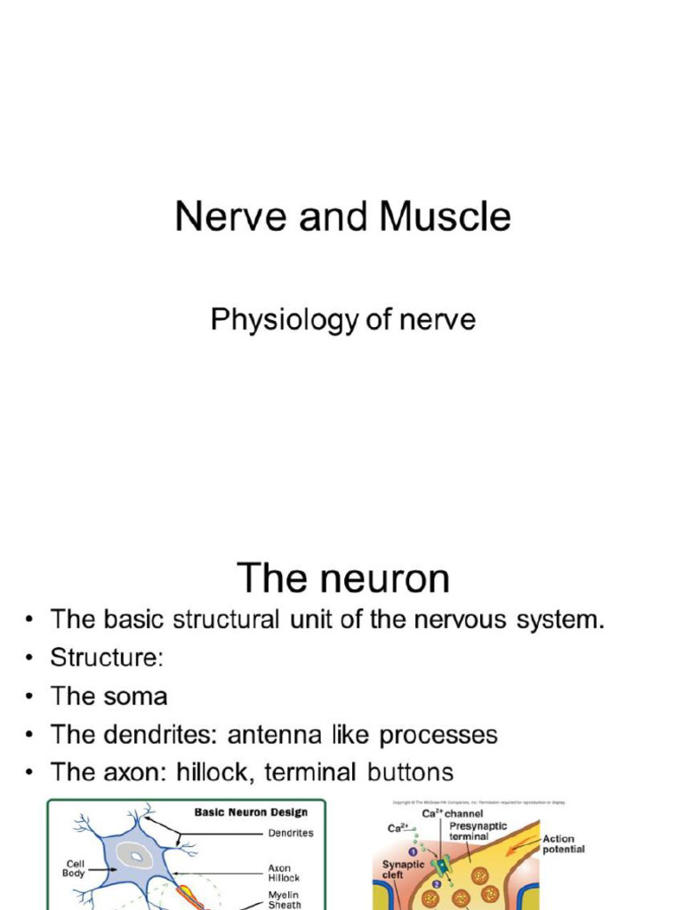 Nerve and Muscle Physiology of Nerve. ABUDLC | PDF