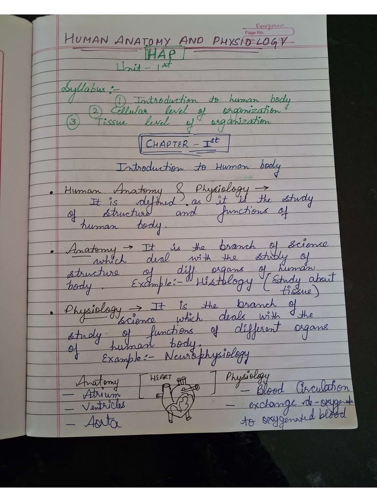 hAP Notes | PDF