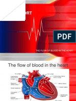 Transport: The Flow of Blood in The Heart