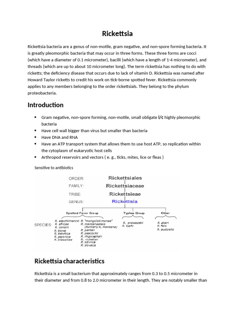 Rickettsia: Characteristics and Diseases | PDF | Bacteria | Microbiology