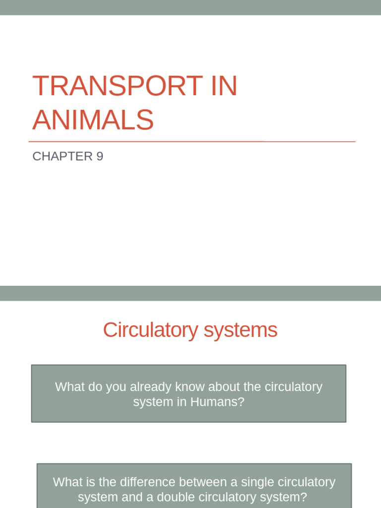 Transport in Animals | PDF | Heart Valve | Ventricle (Heart)