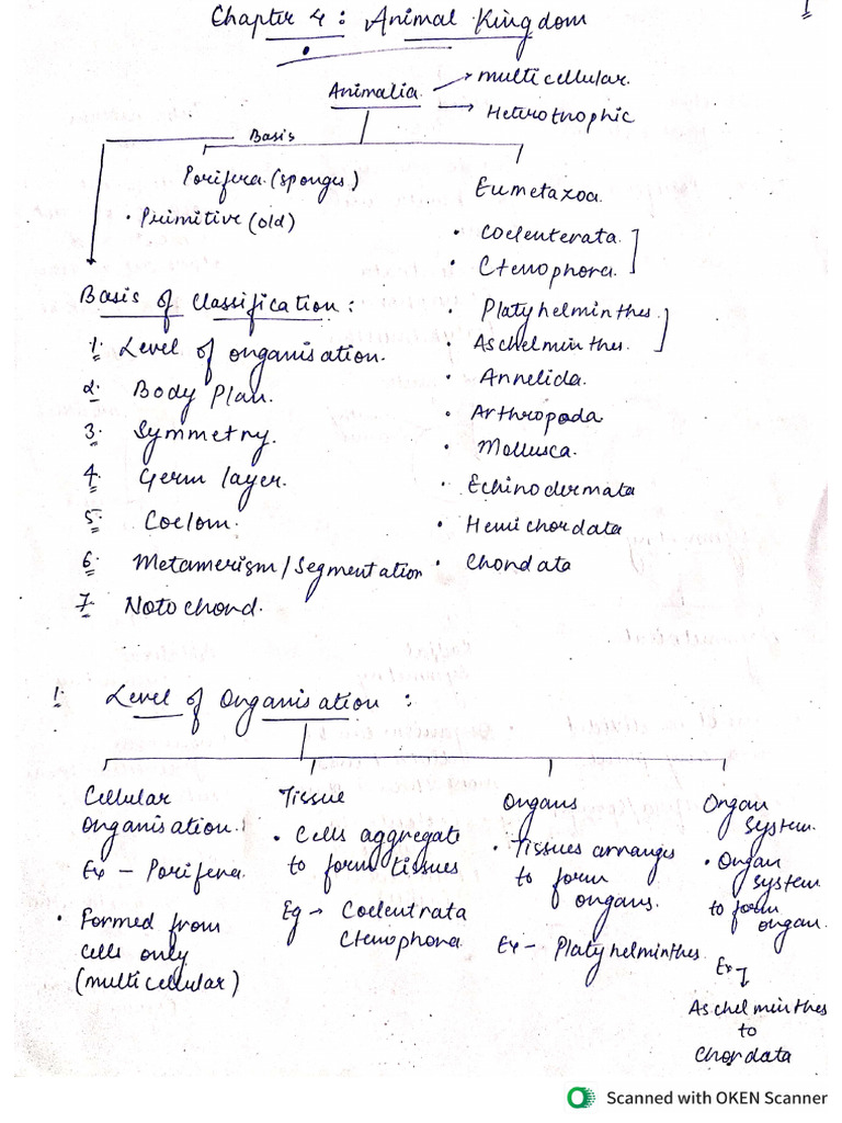 Class XII Bio Chapter 4 | PDF