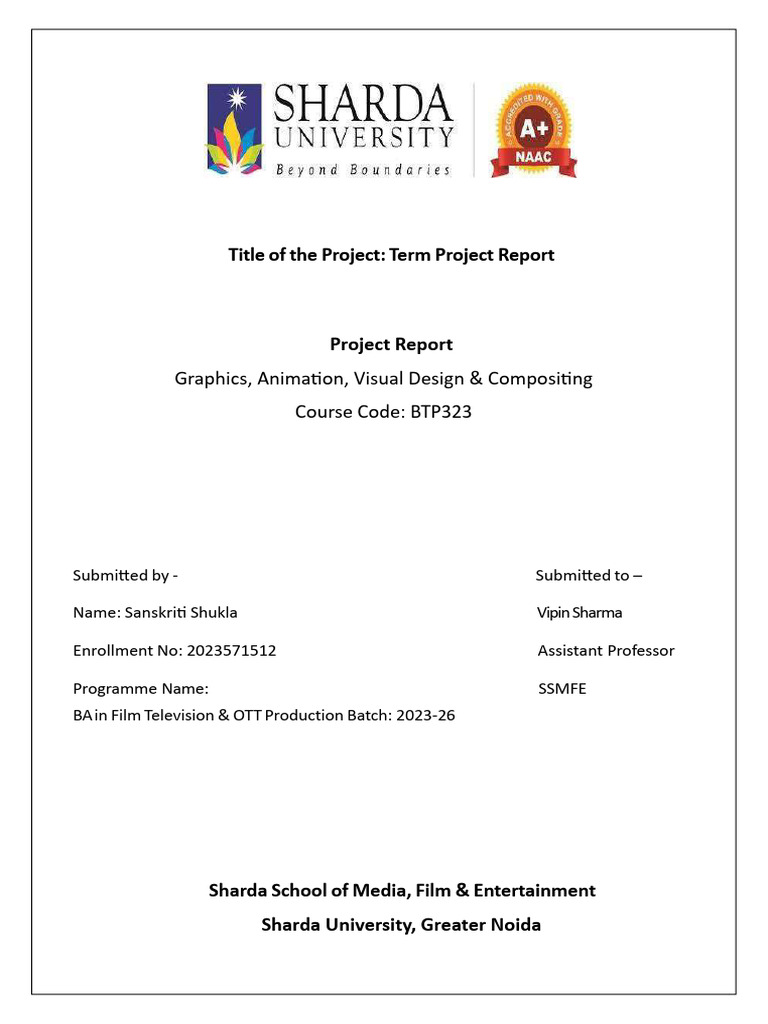 Animation Final Report | PDF | Adobe Photoshop | Minimalism