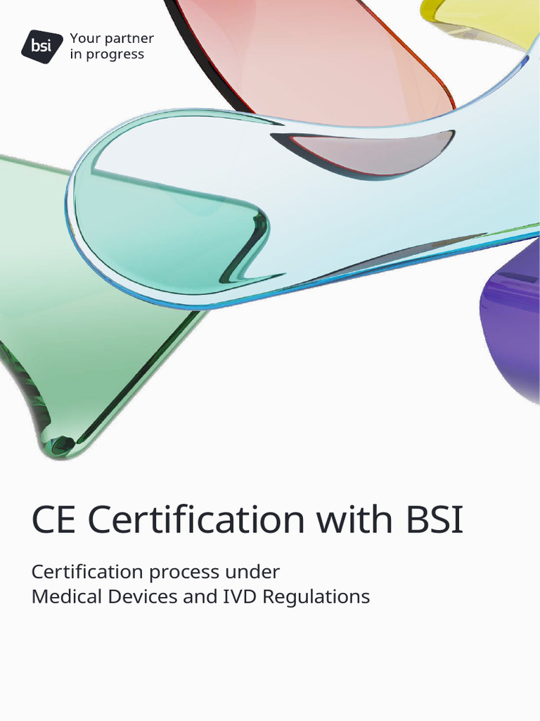BSI Medical Devices CE Certification With BSI 1751084318 | PDF ...
