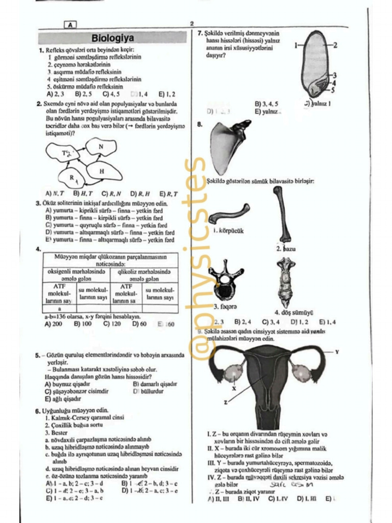 4 cu qrup DİM sınaq 16 mart 2025(1)_250926_141608 | PDF