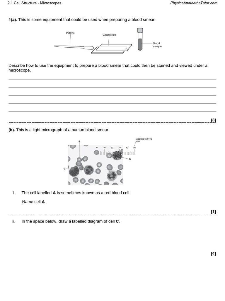 Blood Smear Preparation and Microscopy Guide | PDF | Staining | Microscope