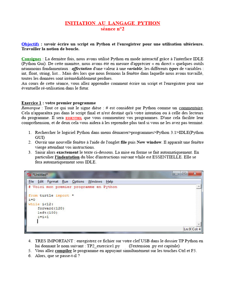 Script Python : Boucles et Turtle | PDF | Python (Langage de ...