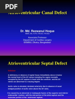 Download AV Canal Defect by Rezwanul Hoque Bulbul SN96252012 doc pdf
