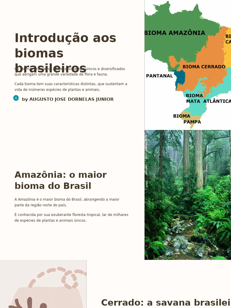 Biomas Brasileiros: Diversidade e Conservação | PDF | Biodiversidade ...