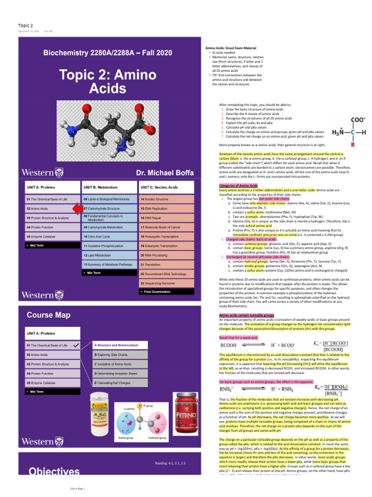 Essential Amino Acids Study Guide | PDF | Acid Dissociation Constant ...