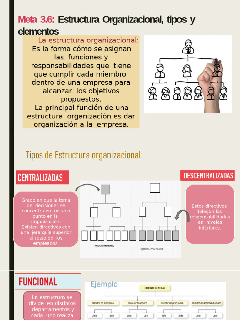Estructura Organizacional y Tipos Clave | PDF | Business