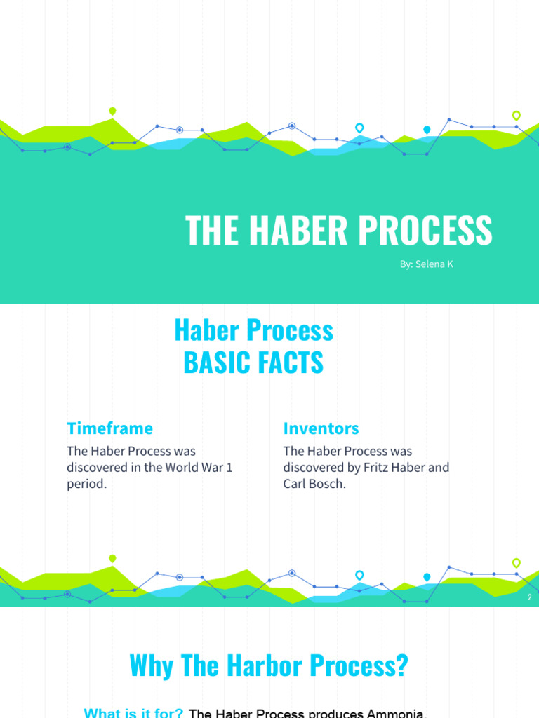 Understanding the Haber Process | PDF | Ammonia | Physical Chemistry