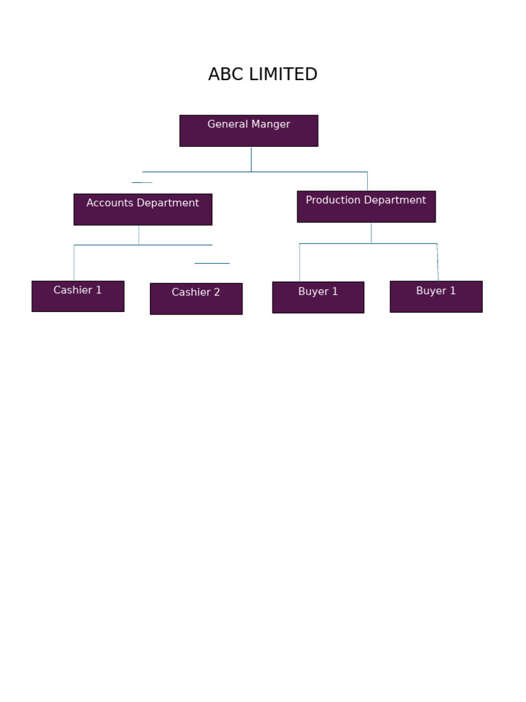 ABC Limited Organizational Structure | PDF