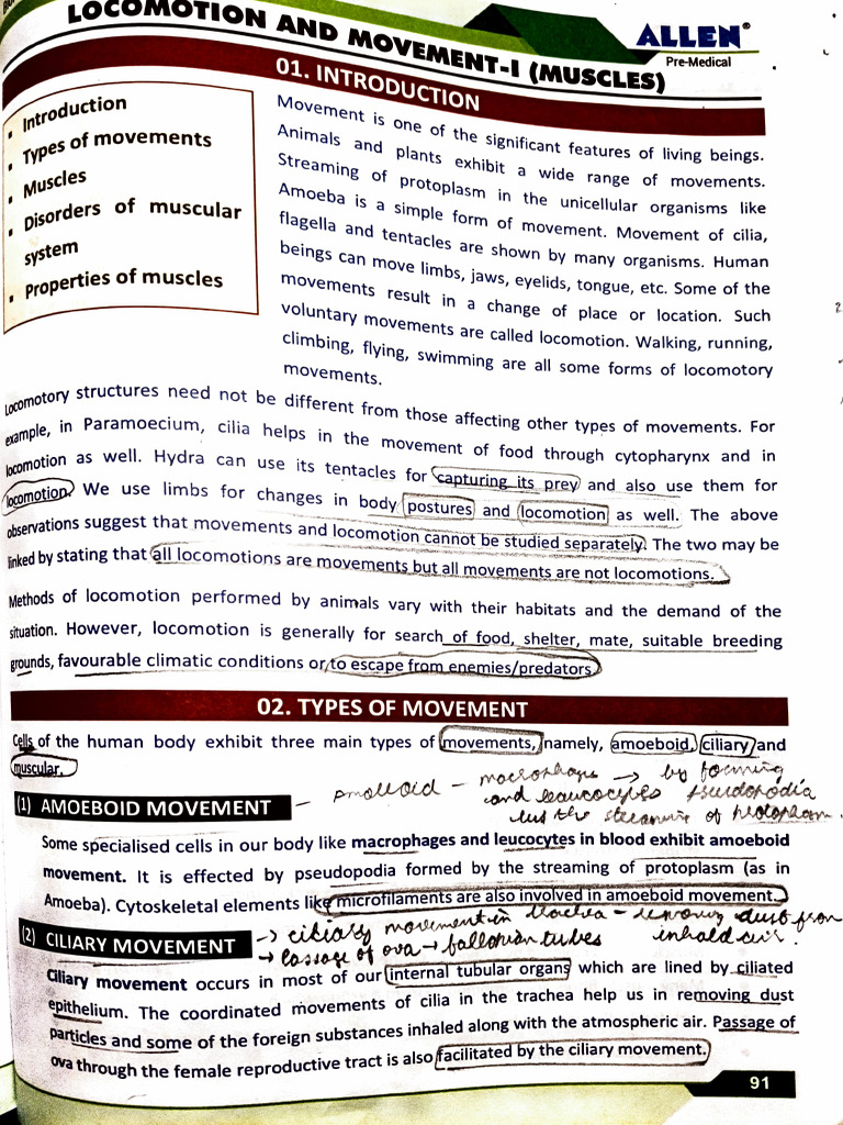 Allen Class 11 Biology | PDF
