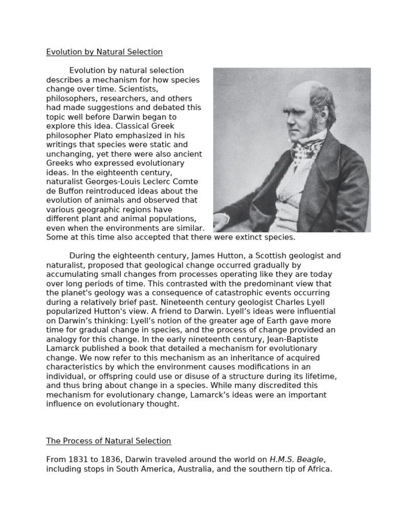 Natural Selection and Evolution Explained | PDF | Evolution | Homology ...