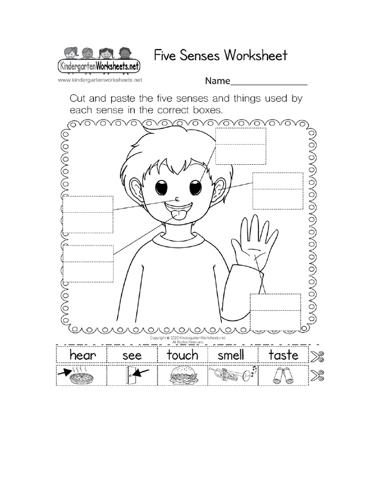 Kindergarten Science Worksheet | PDF