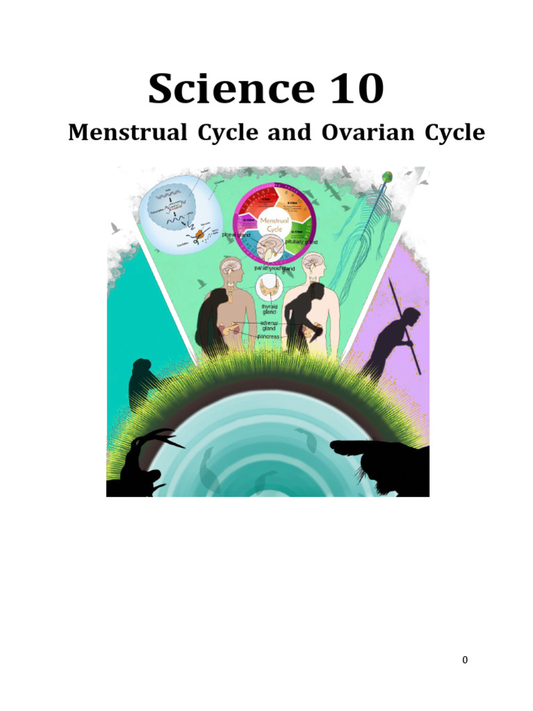 Menstrual and Ovarian Cycle Overview | PDF | Menstrual Cycle | Ovary